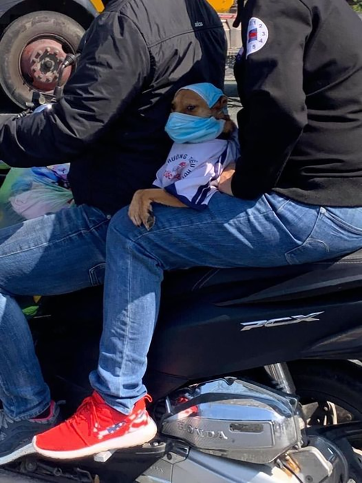 Ảnh vui 5-9: Đi tựu trường thôi các bạn mình ơi! - Ảnh 1.