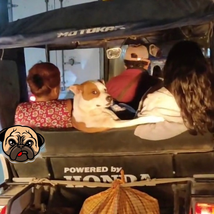 Ảnh vui 5-9: Đi tựu trường thôi các bạn mình ơi! - Ảnh 6.