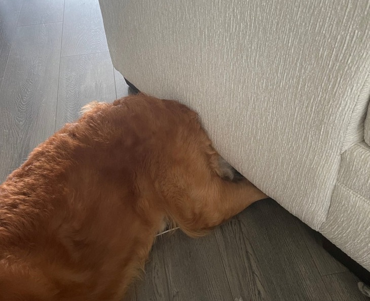 Dân tình rối não vì những bức ảnh gây hoang mang thị giác - Ảnh 5.