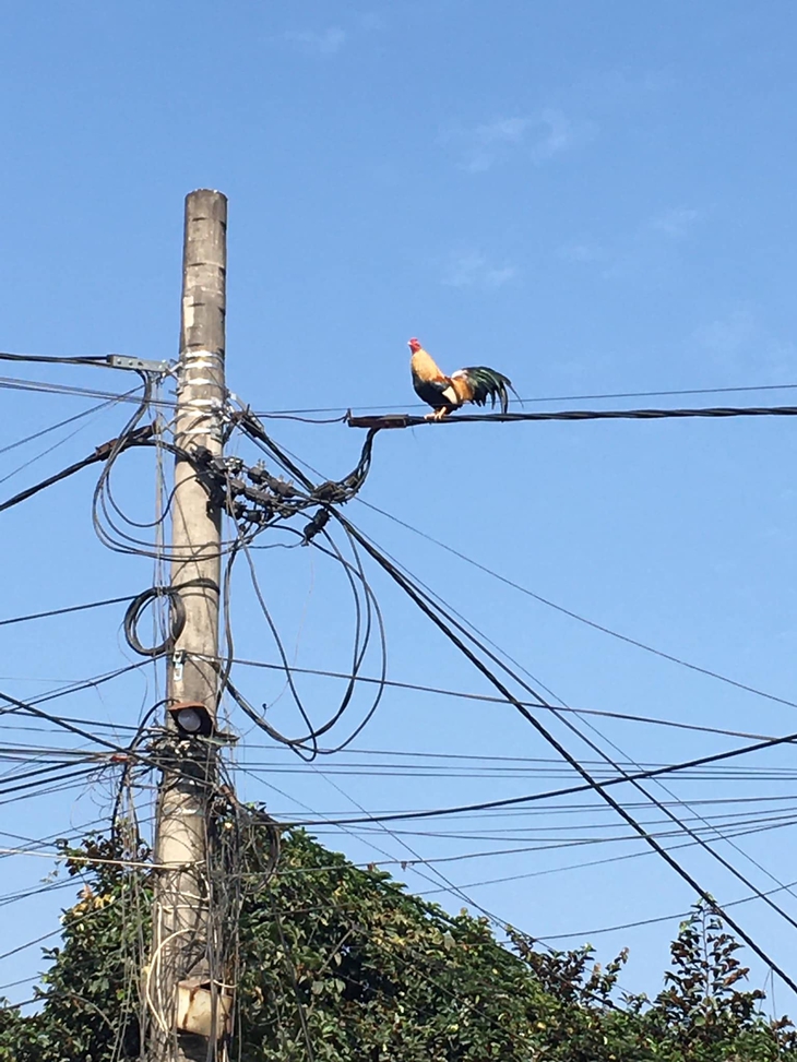 Ảnh vui 9-9: Xóm sợ vợ này đông vui quá ta! - Ảnh 6.