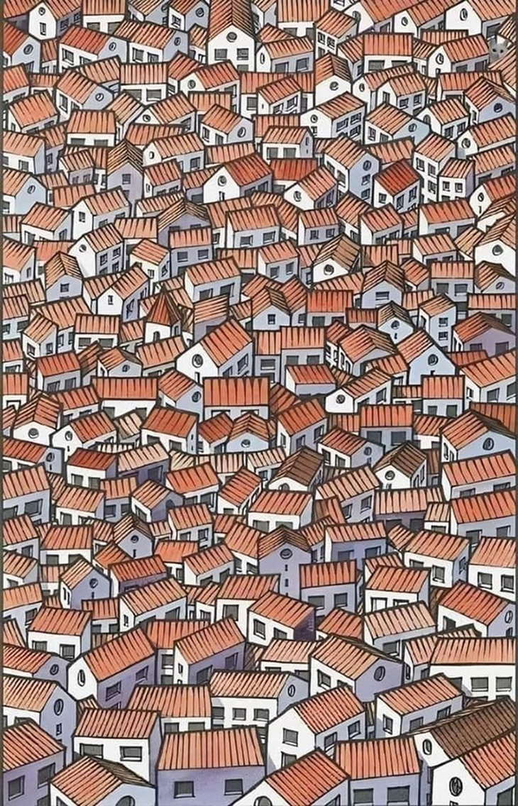 Thử tài tinh mắt: Con mèo nằm ở đâu trên mái nhà? - Ảnh 1.