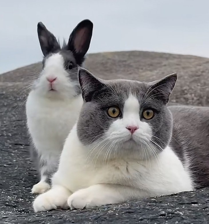 Ảnh vui 11-1: Thôn Tao Kó văn hóa xin chào quý khách! - Ảnh 5.