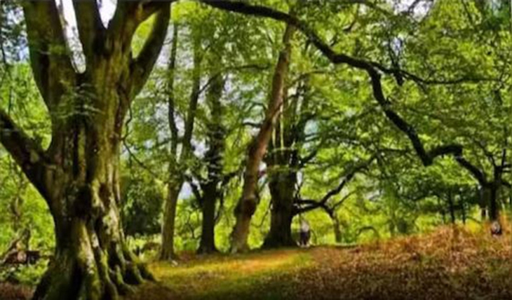 Thử tài tinh mắt: Chiếc ô bị thất lạc ở đâu trong quán? - Ảnh 4.