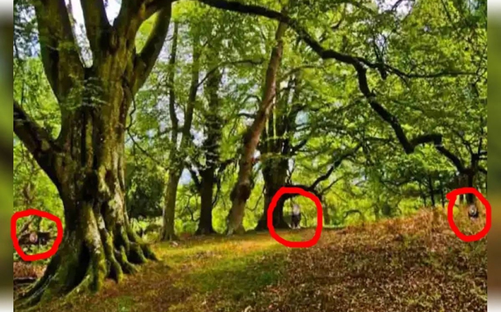 Thử tài tinh mắt: Chiếc ô bị thất lạc ở đâu trong quán? - Ảnh 6.