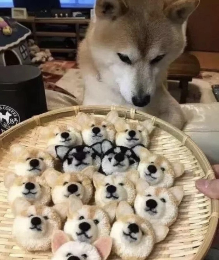 Ảnh vui 17-1: Chưa Tết mà đạo chích lộng hành quá đi! - Ảnh 4.