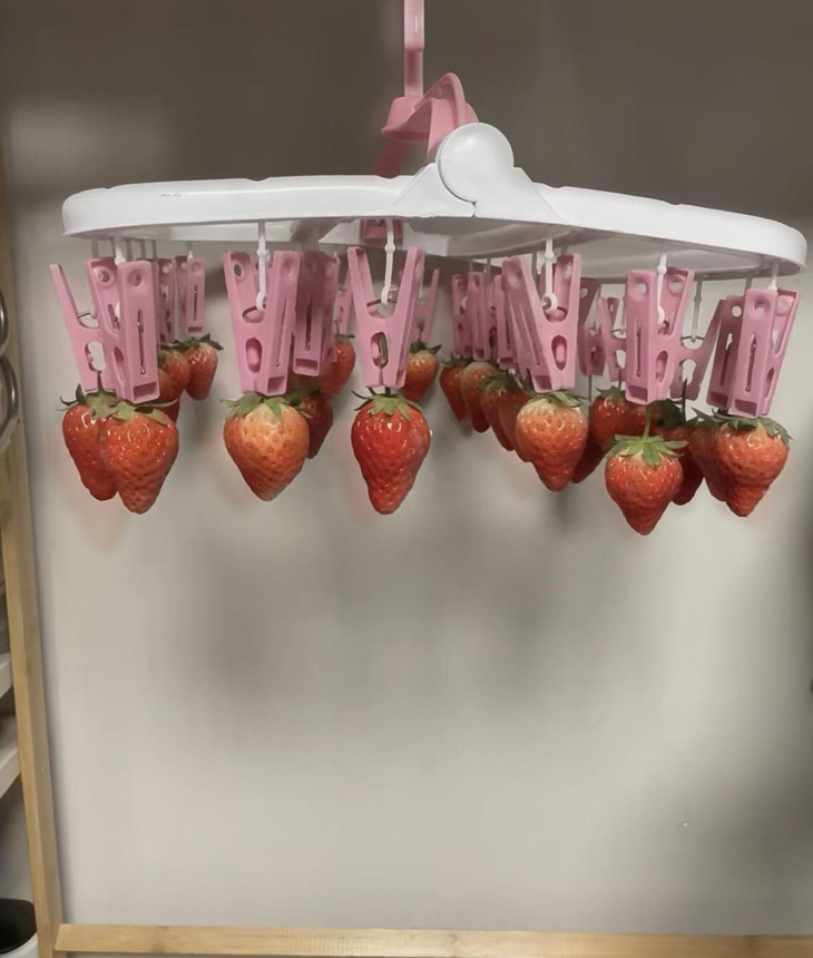 Ảnh vui 17-1: Chưa Tết mà đạo chích lộng hành quá đi! - Ảnh 5.