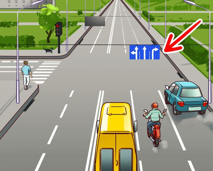 Bức tranh thiên nhiên kỳ thú có gì bất thường? - Ảnh 6.