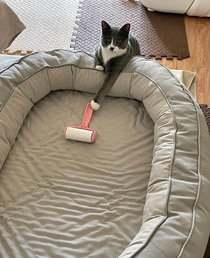 Ảnh vui 2-1: Fan mang giấy chứng nhận kết hôn xin chữ ký MONO - Ảnh 5.