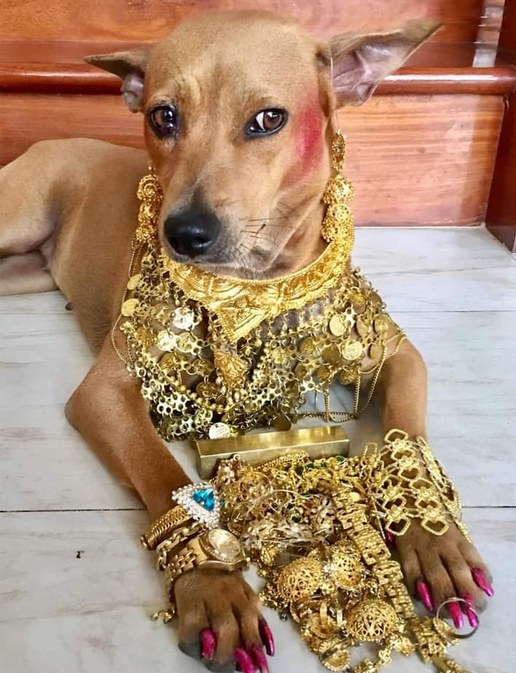 Ảnh vui 2-1: Fan mang giấy chứng nhận kết hôn xin chữ ký MONO - Ảnh 6.