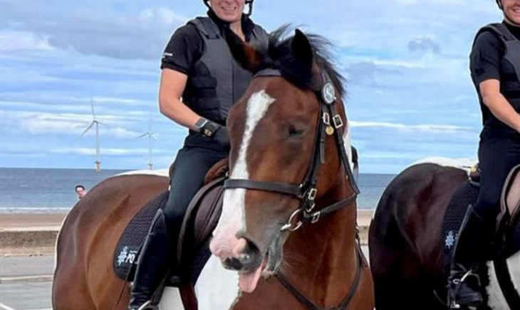 Ngựa cảnh sát bị sa thải vì làm thì ít mà ăn như... hà bá! - Ảnh 1.
