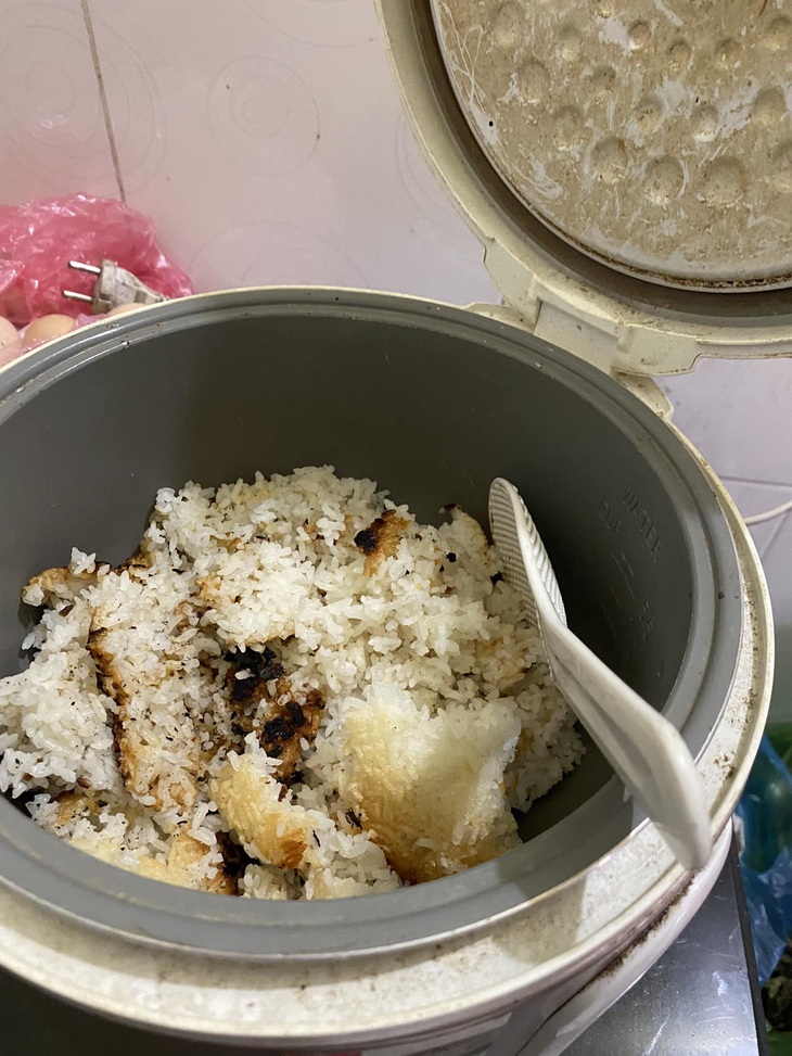 Ảnh vui 27-1: Chú mèo tài lộc khiến dân mạng cười bò - Ảnh 4.