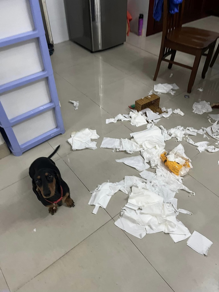 Ảnh vui 31-1: Gia chủ tốt bụng cảnh báo kẻ gian phá hoại xe - Ảnh 2.