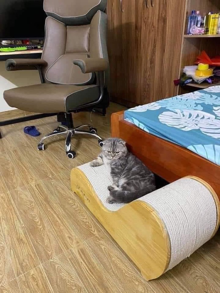 Ảnh vui 5-1: Đức hư thế, đi chơi không báo vợ để vợ đi tìm - Ảnh 4.