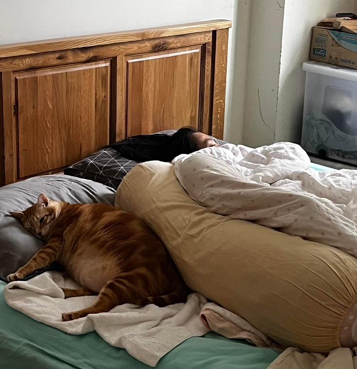 Ảnh vui 8-1: Phát hiện tượng con vật kiểu độc lạ Bình Dương - Ảnh 4.