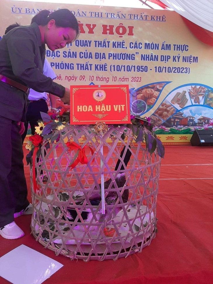 "Nở rộ" hoa hậu.