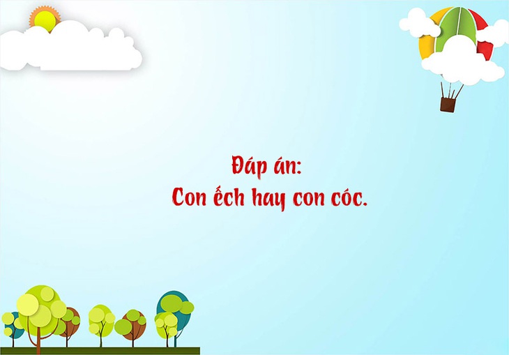 Câu đố hack não: Con gì đi ngồi, đứng ngồi, nằm ngồi, ngủ cũng ngồi? - Ảnh 1.