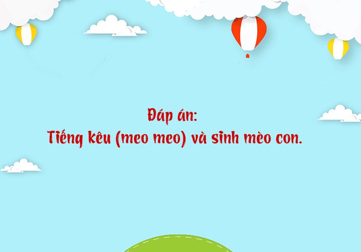 Câu đố hack não: Con gì đi ngồi, đứng ngồi, nằm ngồi, ngủ cũng ngồi? - Ảnh 1.