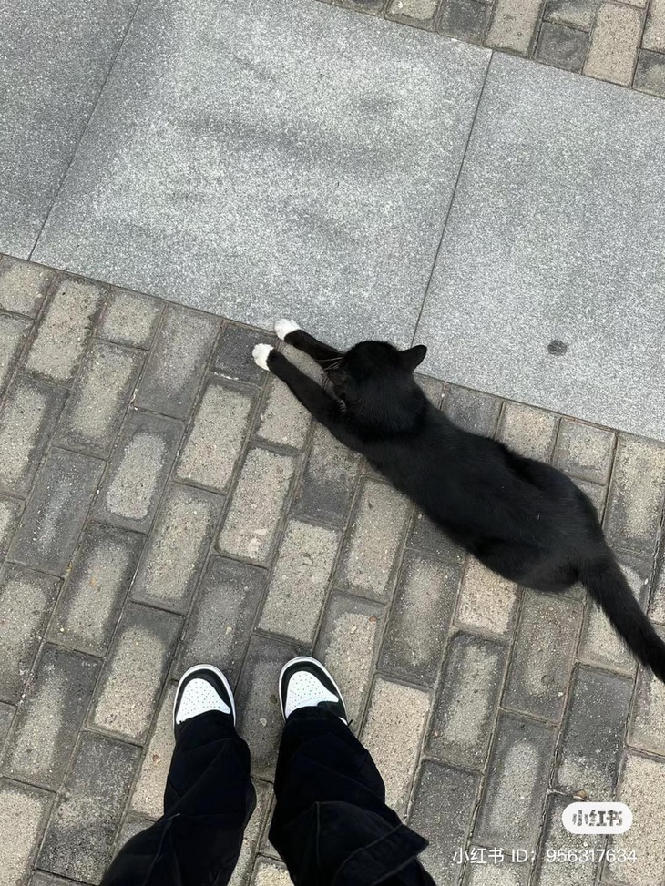 Mới sáng ra đường đã bị đụng hàng