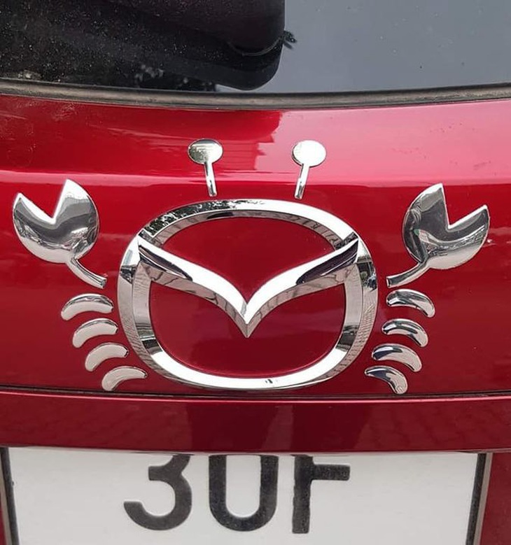 Chiếc xe của "team hải sản"