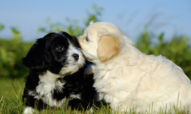 Câu đố hack não: Cái gì chứa nhiều nước nhất mà không ướt tí nào? - Ảnh 10.