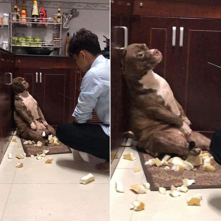 Tính thì hay giận ngang mà đụng tới thì lại "nước mắt ngắn dài".