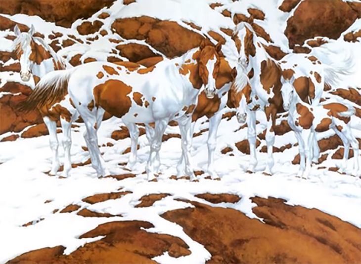 Mắt 10/10 mới thấy 7 gấu trúc đang lẩn trốn trong tranh - Ảnh 4.