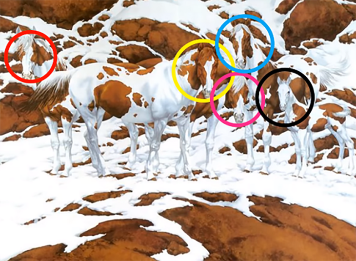 Mắt 10/10 mới thấy 7 chú gấu trúc đang lẩn trốn trong tranh - Ảnh 1.