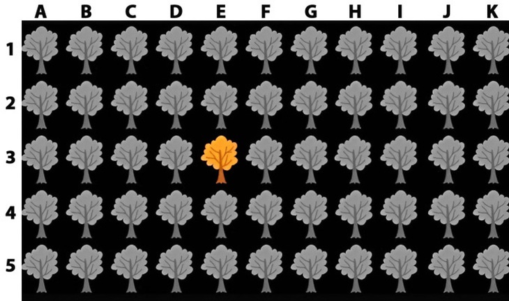 Mắt 10/10 mới thấy 7 chú gấu trúc đang lẩn trốn trong tranh - Ảnh 1.