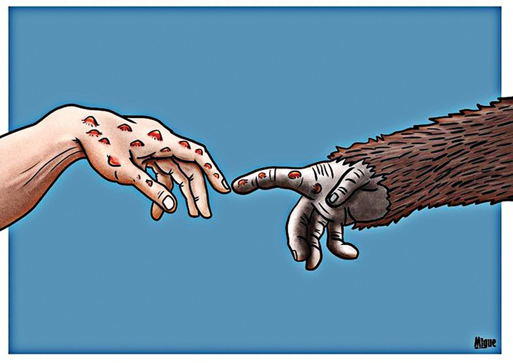 Gọi “đậu mùa khỉ” là... gieo tiếng oan cho khỉ - tranh của Miguel Morales Madrigal, họa sĩ Cuba. Tên “đậu mùa khỉ” luôn bị chỉ trích, do khỉ không phải là vật chủ hay ổ chứa chính, và càng làm tăng sự kỳ thị với các nước châu Phi như... “một nguồn bệnh”.