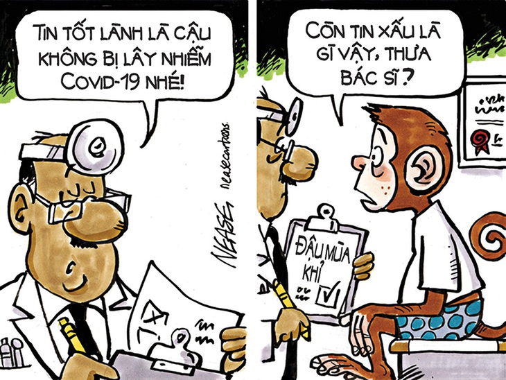 Kỳ thị là đây: ai bị Mpox sẽ hóa thành... khỉ! - tranh của Steve Nease, họa sĩ Canada.