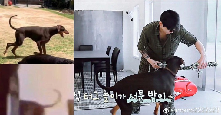 Tin đồn hẹn hò của Jungkook lan truyền ở Cnet theo cách bất ngờ - Ảnh 3.