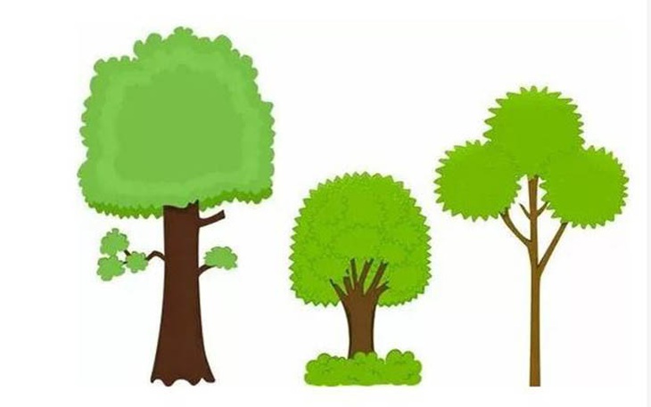 Quiz: Điều gì đang chờ đợi bạn trong tuần này?