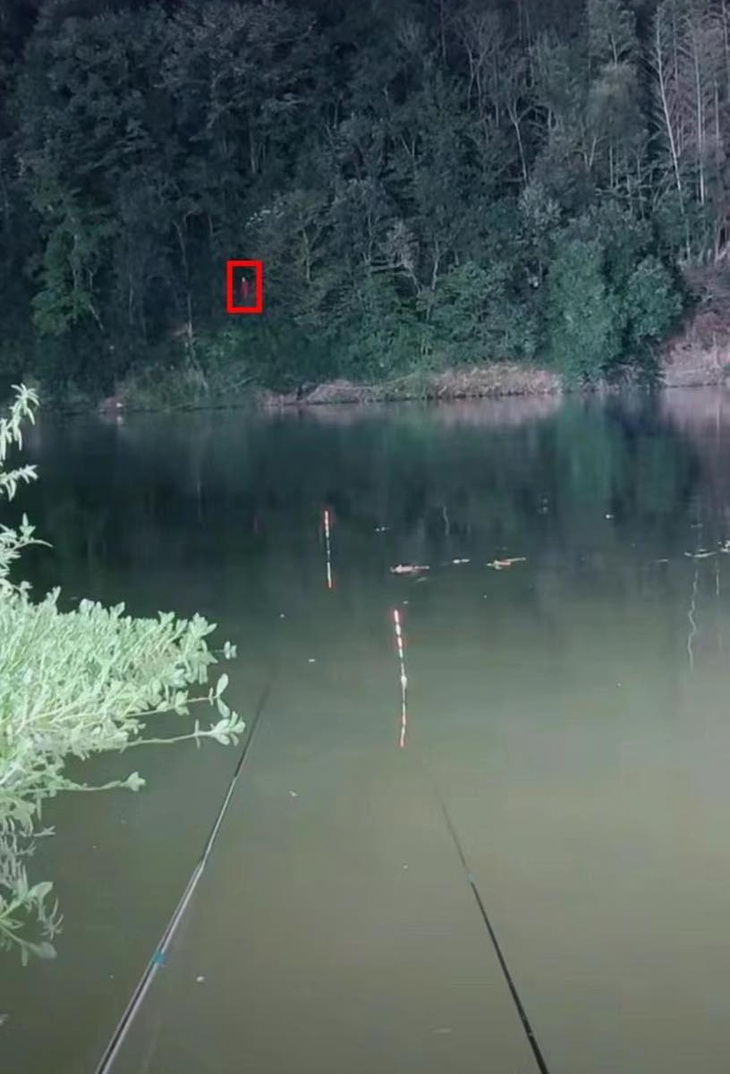 Cứ xem như là một giấc mơ đi, đừng "xin hỏi"...