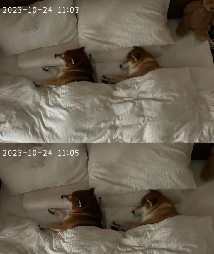 Check cam thì thấy "gà vọc niêu tôm"