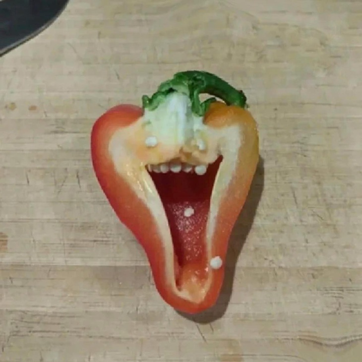 Cứ vui cho đến khi cuộc đời hết cho phép.