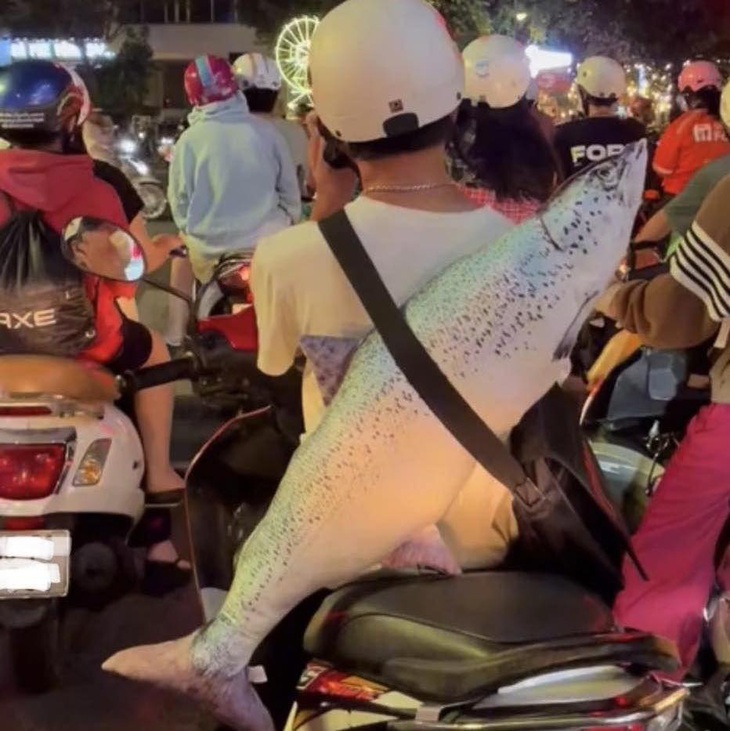 Ông lão đánh cá và con cá anh ấy đánh.