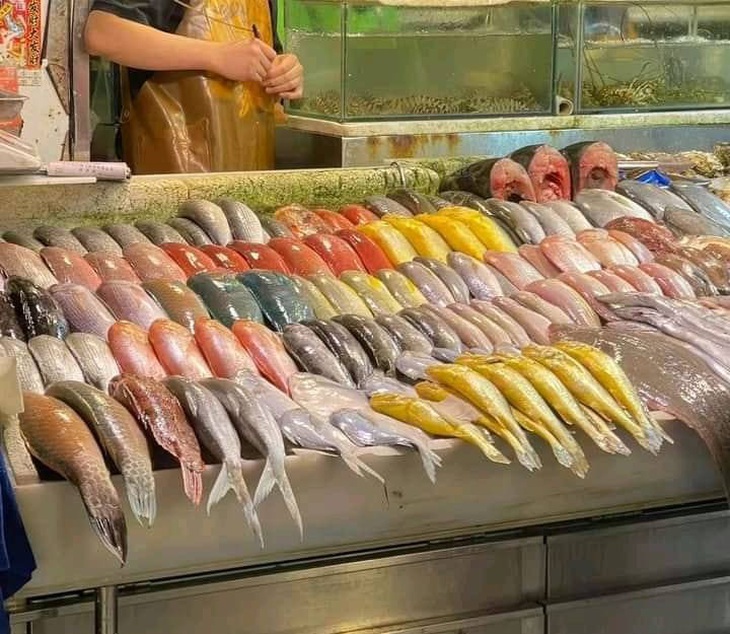 Người OCD khi đi bán cá kiểu...