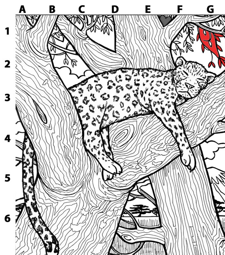 Thử tài tinh mắt: Con cá nằm ở đâu? - Ảnh 1.