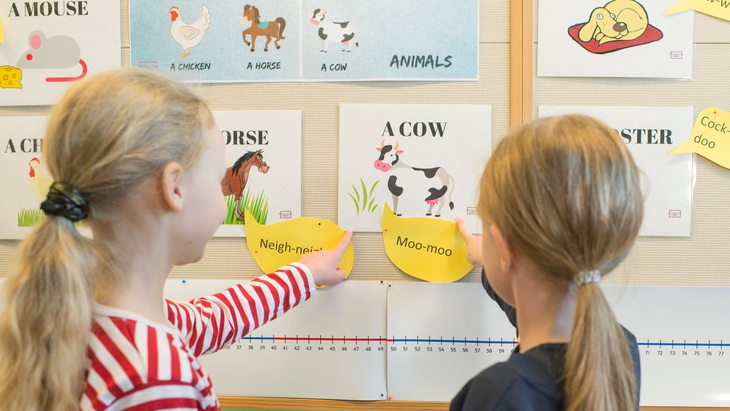 Học sinh Phần Lan trong giờ ngoại ngữ. Ảnh: Ville Viitamäki / Yle