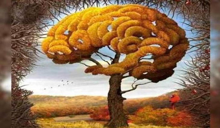 Ảo ảnh bộc lộ mức độ trí thông minh của bạn - Ảnh 1.