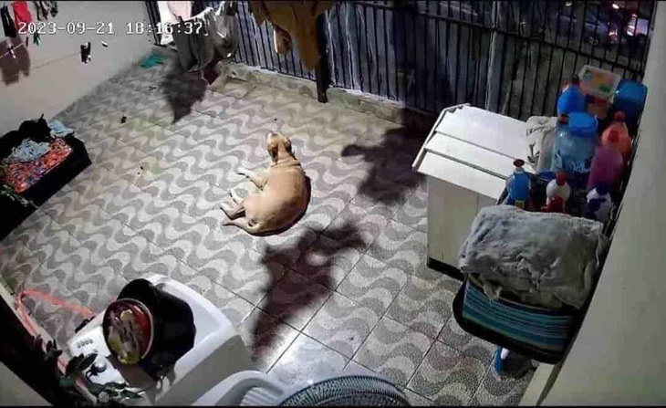 "Check cam" xong xoắn não luôn.