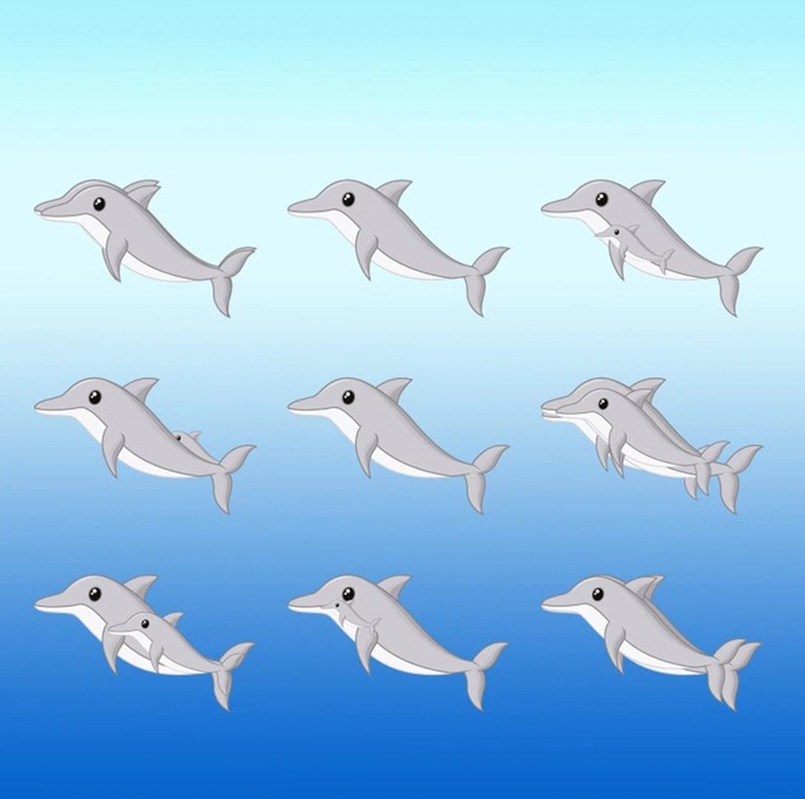 Thử tài tinh mắt: Chiếc ô đang giấu ở đâu? - Ảnh 4.