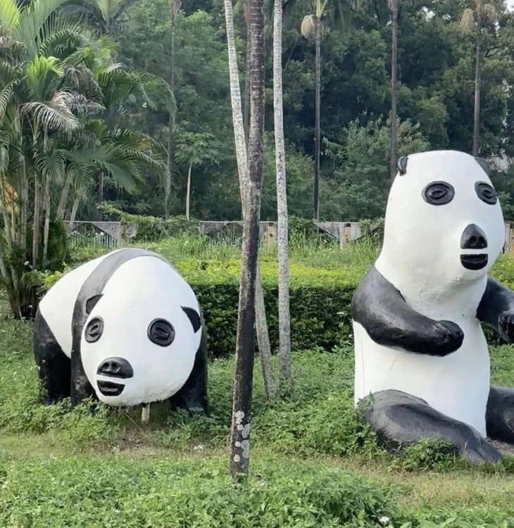 'Nếu không có những chỗ mực đen thì chắc hẳn nhìn rất giống lợn', một người dùng chia sẻ.