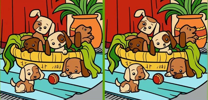 Mắt 10/10 mới thấy khuôn mặt ẩn giấu ở đâu - Ảnh 3.