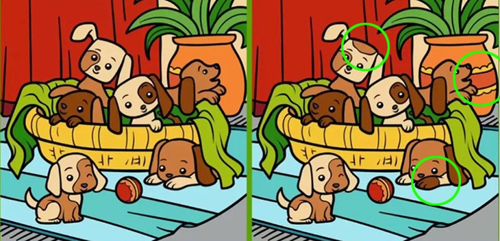 Mắt 10/10 mới thấy khuôn mặt ẩn giấu ở đâu - Ảnh 1.