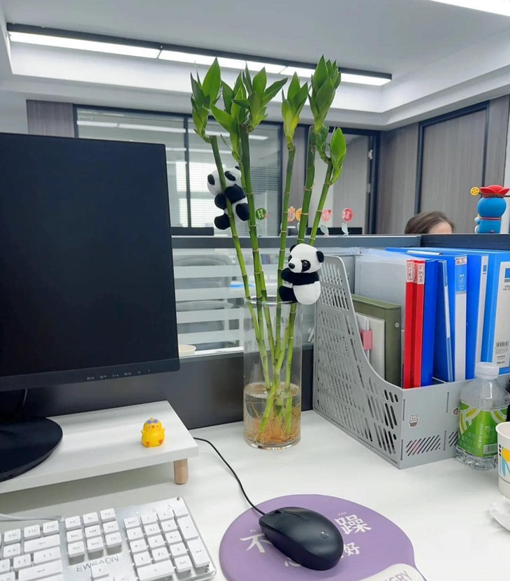 Khi chị gái trong văn phòng tôi vừa chớm 30.