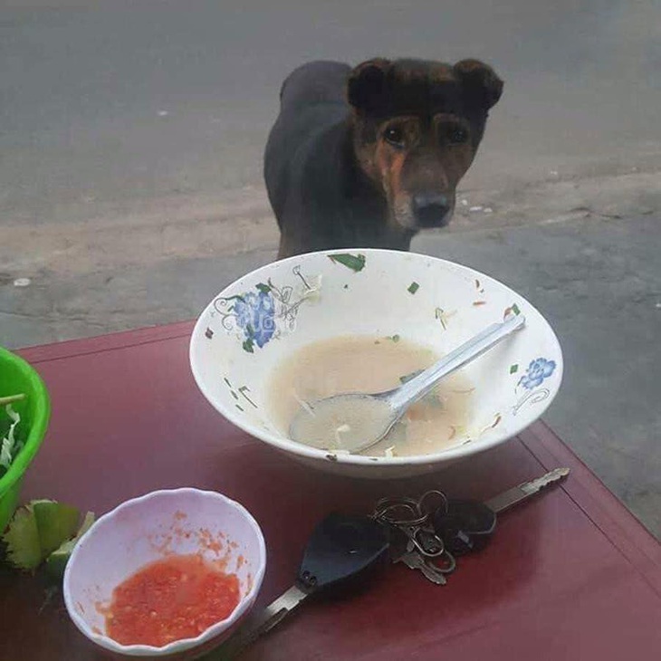 Anh coi vậy mà được hả? Em chờ nãy giờ luôn á?!