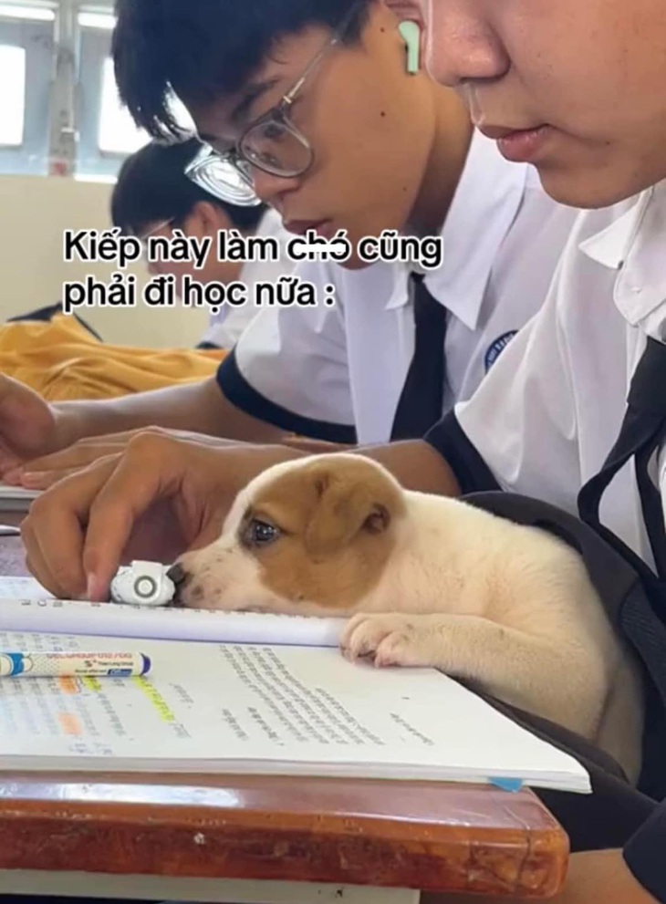 Nhất quỷ nhì ma thứ ba học trò