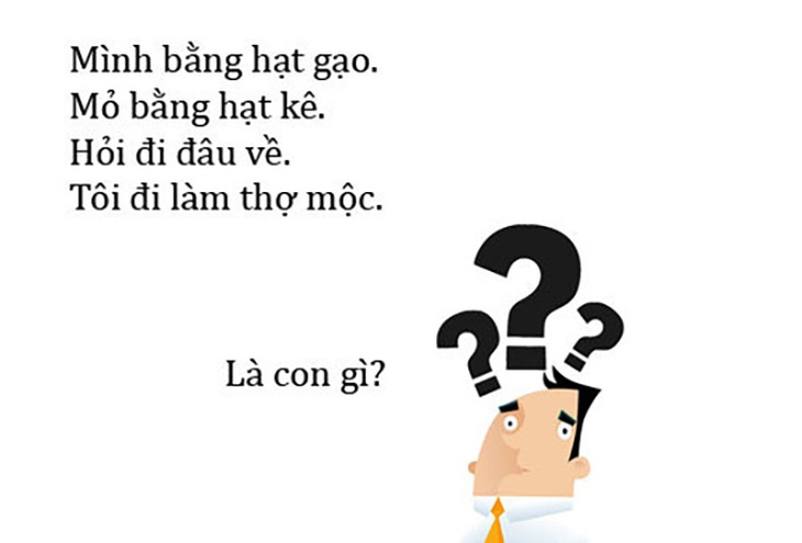 Câu đố hack não: Con gì có 4 chân mà không có đầu? - Ảnh 4.