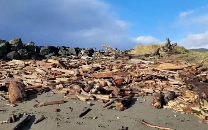 Thử tài tinh mắt: Con chó đang đứng ở đâu?